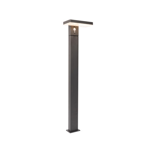 Kültéri állólámpa sötétszürke 80 cm LED-del és dimmerrel
