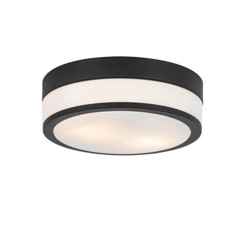 Modern kültéri mennyezeti lámpa fekete 28 cm IP44 - Flavi
