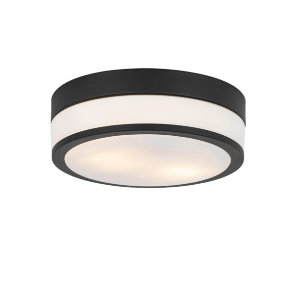 Modern kültéri mennyezeti lámpa fekete 28 cm IP44 - Flavi