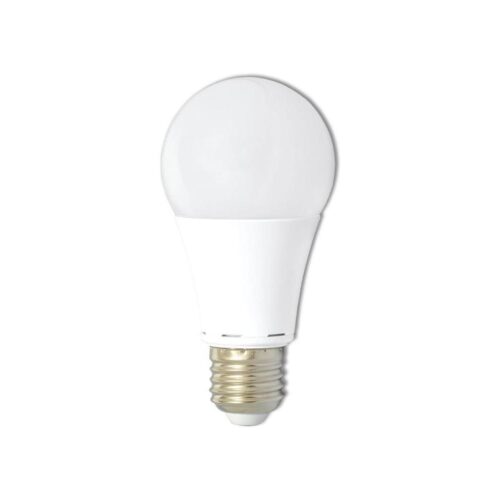 LED10W