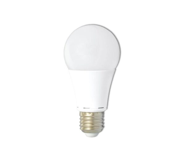 LED10W