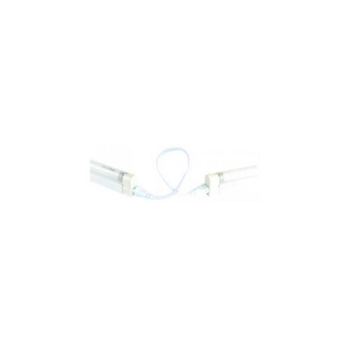 Fulgur Fulgur 06665