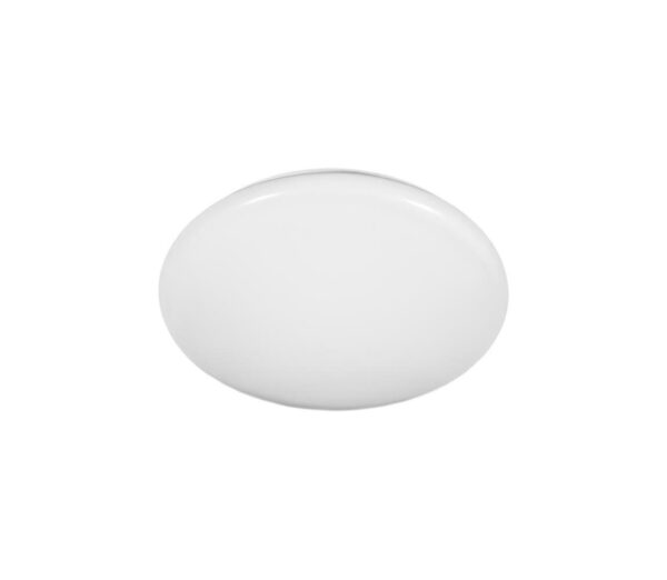Fulgur Fulgur 22901