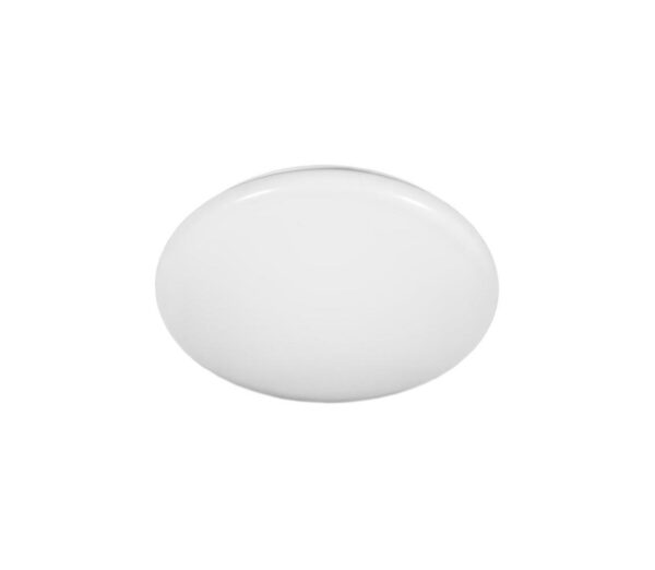 Fulgur Fulgur 22902