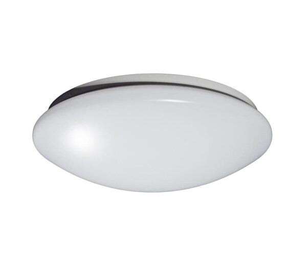Fulgur Fulgur 23980