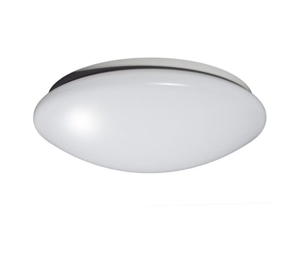 Fulgur Fulgur 24070