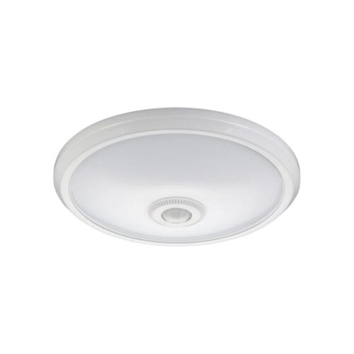 Fulgur Fulgur 24120