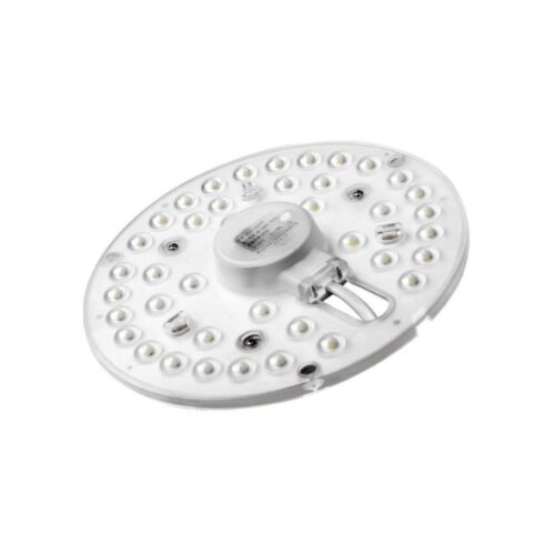 Fulgur Fulgur 24176