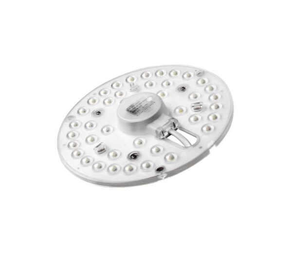 Fulgur Fulgur 24178