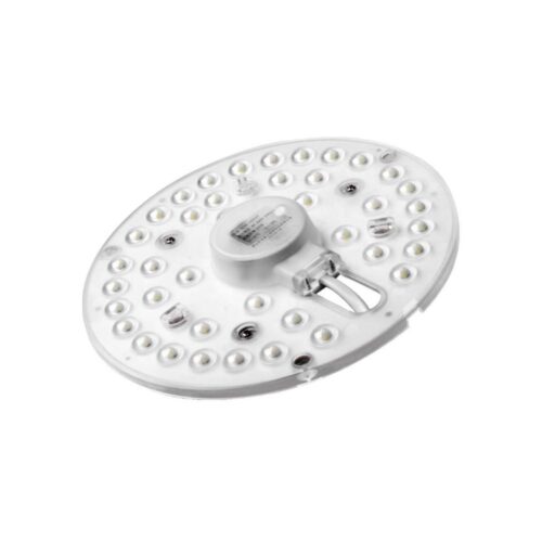 Fulgur Fulgur 24181