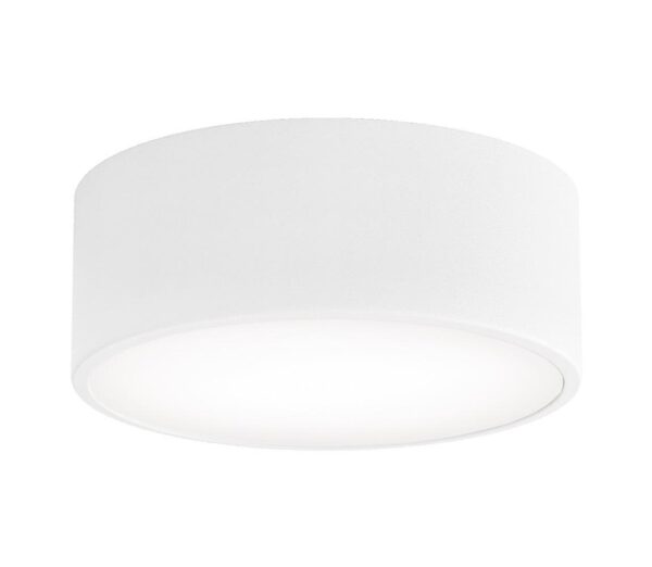 Fürdőszobai mennyezeti lámpa CLEO 1xE27/24W/230V átm. 20 cm fehér IP54