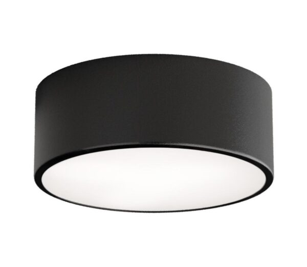 Fürdőszobai mennyezeti lámpa CLEO 1xE27/24W/230V átm. 20 cm fekete IP54