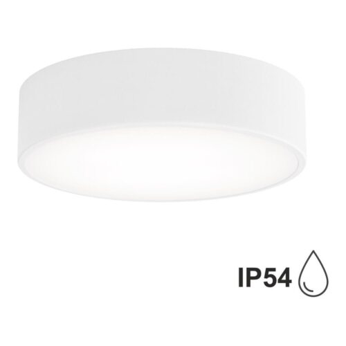 Fürdőszobai mennyezeti lámpa CLEO 2xE27/24W/230V á. 30 cm fehér IP54