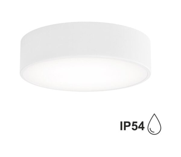Fürdőszobai mennyezeti lámpa CLEO 2xE27/24W/230V á. 30 cm fehér IP54