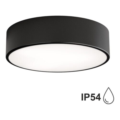 Fürdőszobai mennyezeti lámpa CLEO 2xE27/24W/230V á. 30 cm fekete IP54