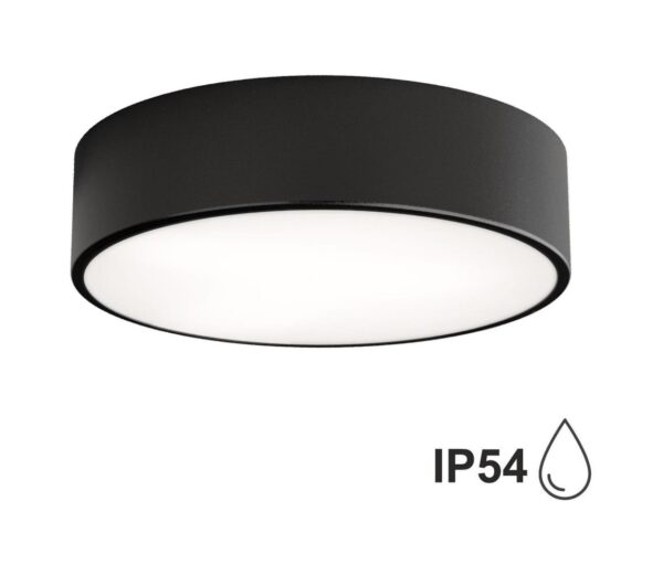 Fürdőszobai mennyezeti lámpa CLEO 2xE27/24W/230V á. 30 cm fekete IP54