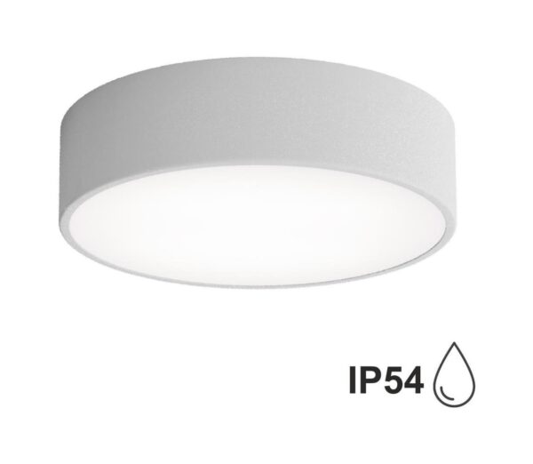 Fürdőszobai mennyezeti lámpa CLEO 2xE27/24W/230V á. 30 cm szürke IP54