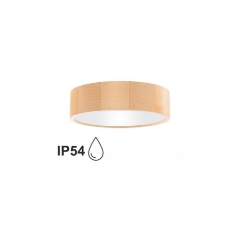 Fürdőszobai mennyezeti lámpa CLEO 2xE27/24W/230V IP54 á. 27