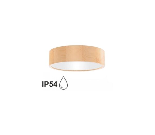 Fürdőszobai mennyezeti lámpa CLEO 2xE27/24W/230V IP54 á. 27