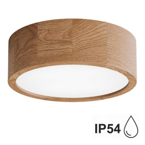 Fürdőszobai mennyezeti lámpa CLEO 2xE27/24W/230V IP54 á. 27