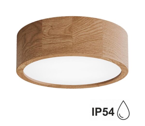Fürdőszobai mennyezeti lámpa CLEO 2xE27/24W/230V IP54 á. 27