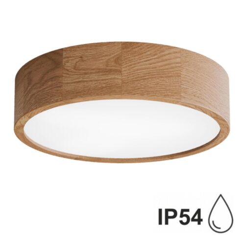 Fürdőszobai mennyezeti lámpa CLEO 3xE27/24W/230V IP54 á. 37