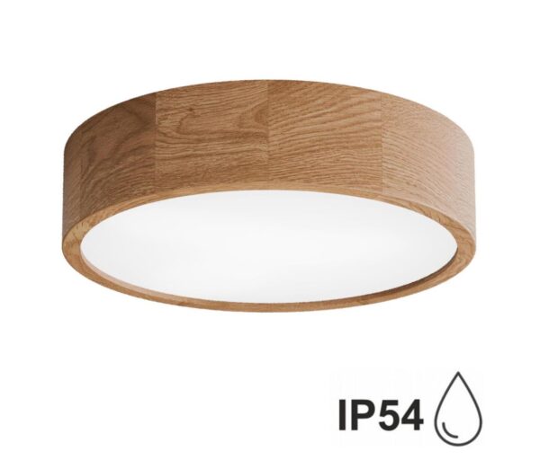 Fürdőszobai mennyezeti lámpa CLEO 3xE27/24W/230V IP54 á. 37