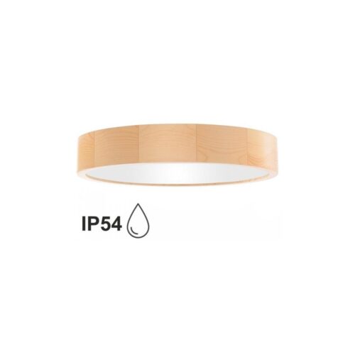 Fürdőszobai mennyezeti lámpa CLEO 4xE27/24W/230V IP54 á. 47