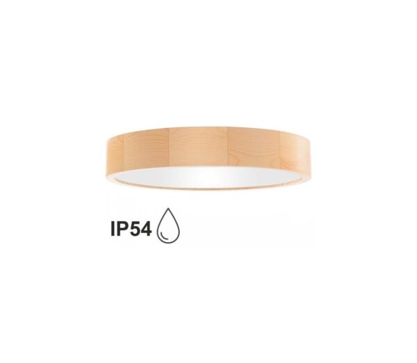 Fürdőszobai mennyezeti lámpa CLEO 4xE27/24W/230V IP54 á. 47