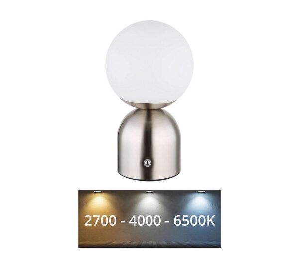 Globo Globo 21006N