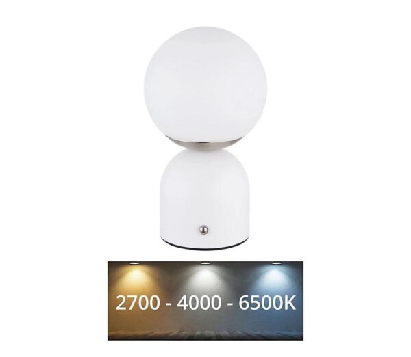 Globo Globo 21006W