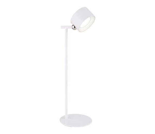 Globo Globo 58436W