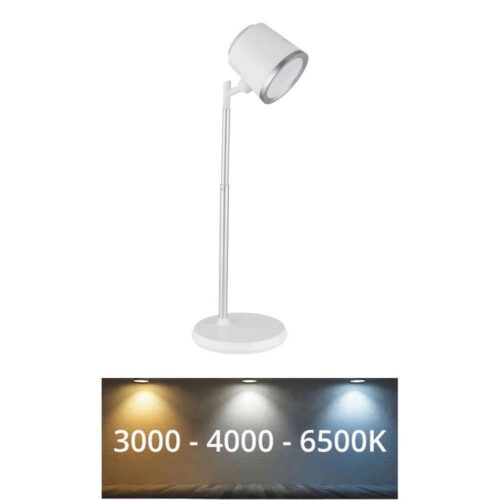 Globo Globo 58454W