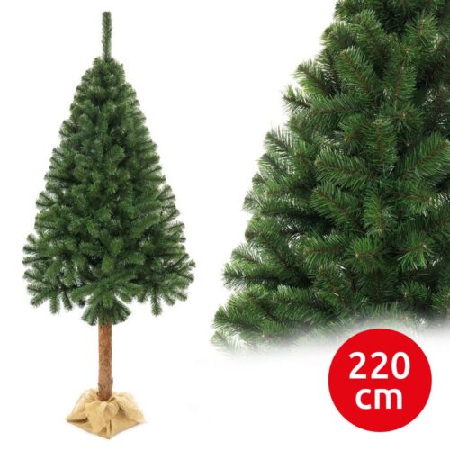 Karácsonyfa törzsével 220 cm fenyő