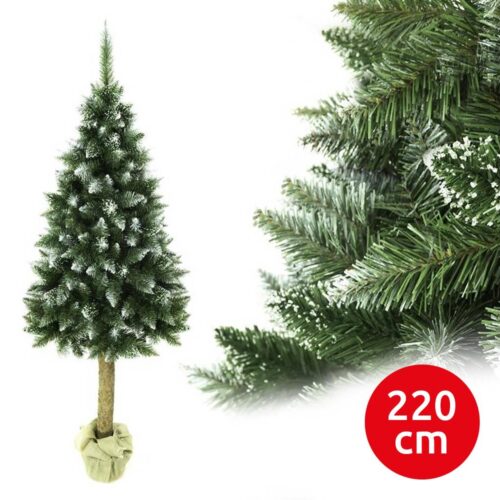 Karácsonyfa törzsével 220 cm fenyő
