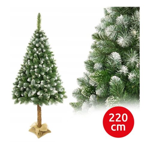 Karácsonyfa törzsön 220 cm fenyő