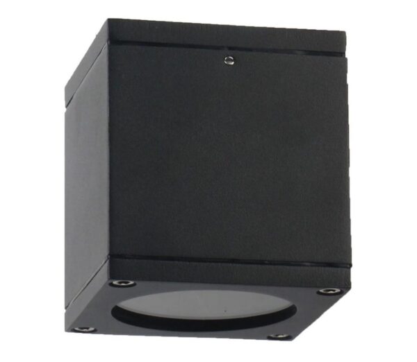Kültéri fali lámpa MORRIS 1xGU10/35W/230V IP54