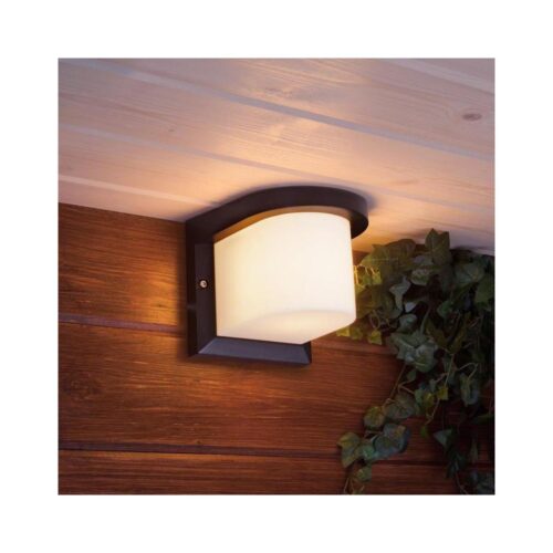 Kültéri fali lámpa PETUNIA 1xE27/60W/230V IP44 antracit
