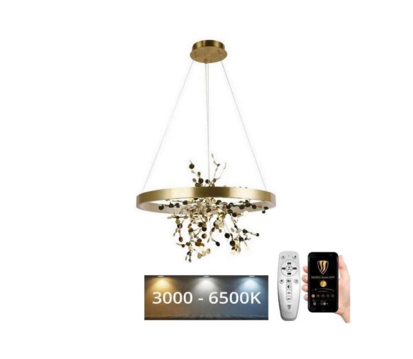 LED Dimmelhető csillár zsinóron LED/40W/230V 3000