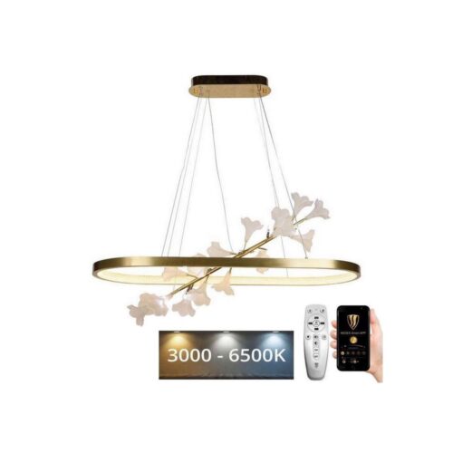 LED Dimmelhető csillár zsinóron LED/55W/230V 3000