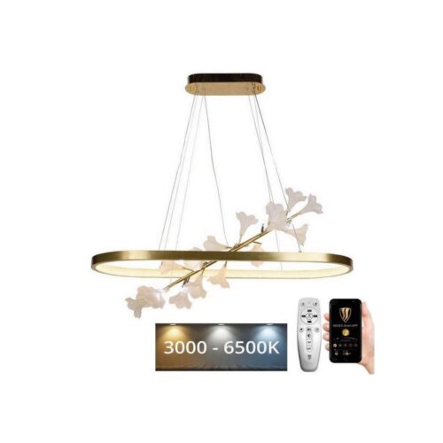 LED Dimmelhető csillár zsinóron LED/65W/230V 3000