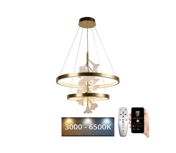 LED dimmelhető csillár zsinóron LED/70W/230V 3000