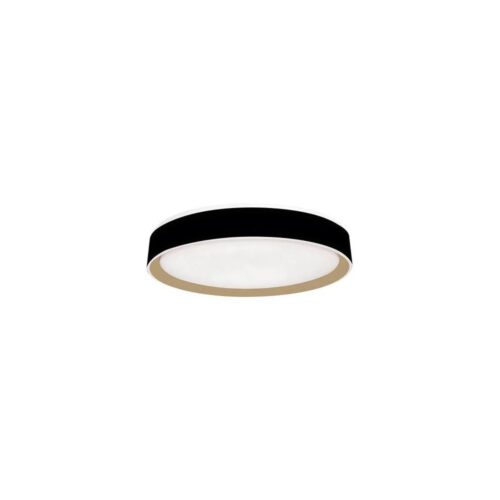 LED Dimmelhető mennyezeti lámpa hangvezérléssel OPAL LED/48W/230V + távirányító