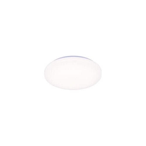 LED Dimmelhető mennyezeti lámpa hangvezérléssel OPAL LED/48W/230V + távirányító