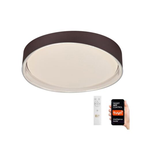 LED Dimmelhető mennyezeti lámpa LED/48W/230V 2700