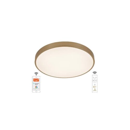 LED Dimmelhető mennyezeti lámpa LED/48W/230V 2700