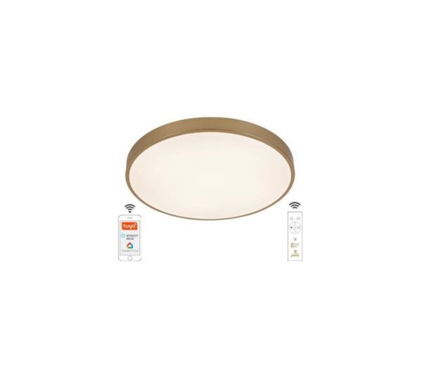 LED Dimmelhető mennyezeti lámpa LED/48W/230V 2700