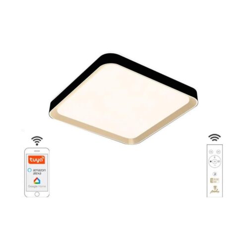 LED Dimmelhető mennyezeti lámpa LED/48W/230V 2700