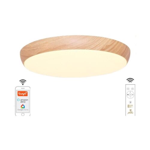 LED Dimmelhető mennyezeti lámpa LED/48W/230V 2700