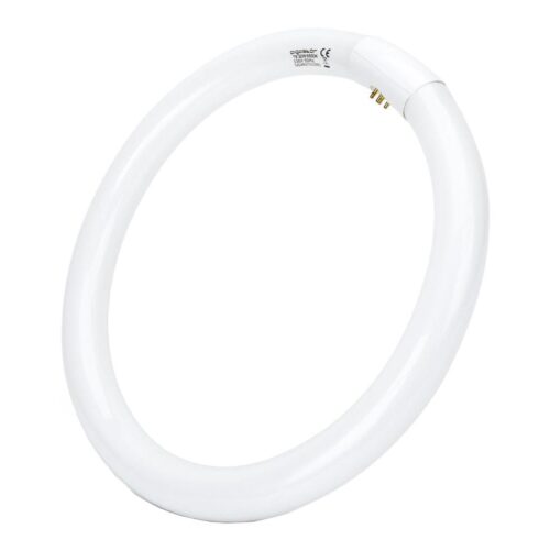 B.V. LED Fénycső T9 G24q